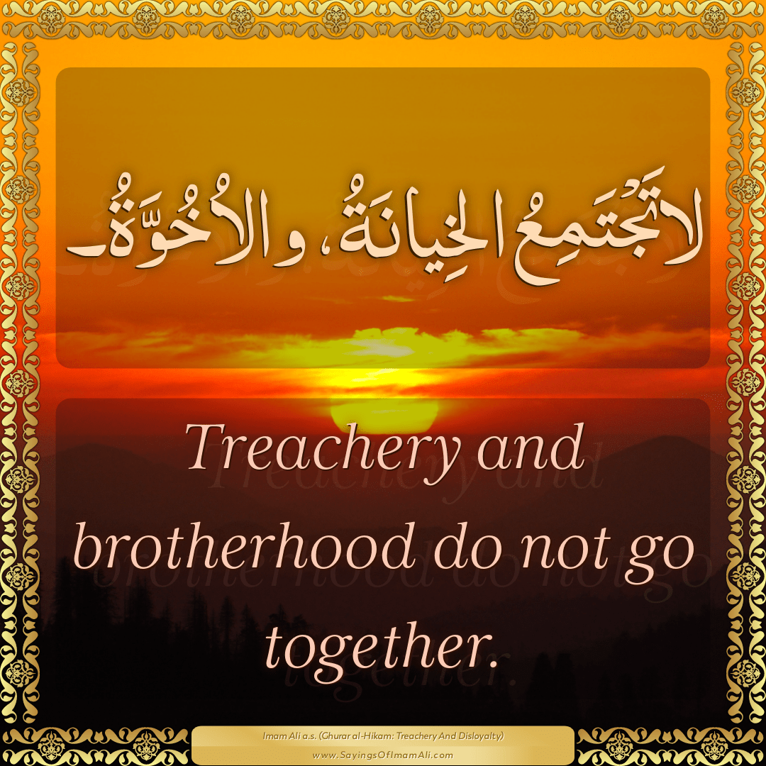 Treachery and brotherhood do not go together.